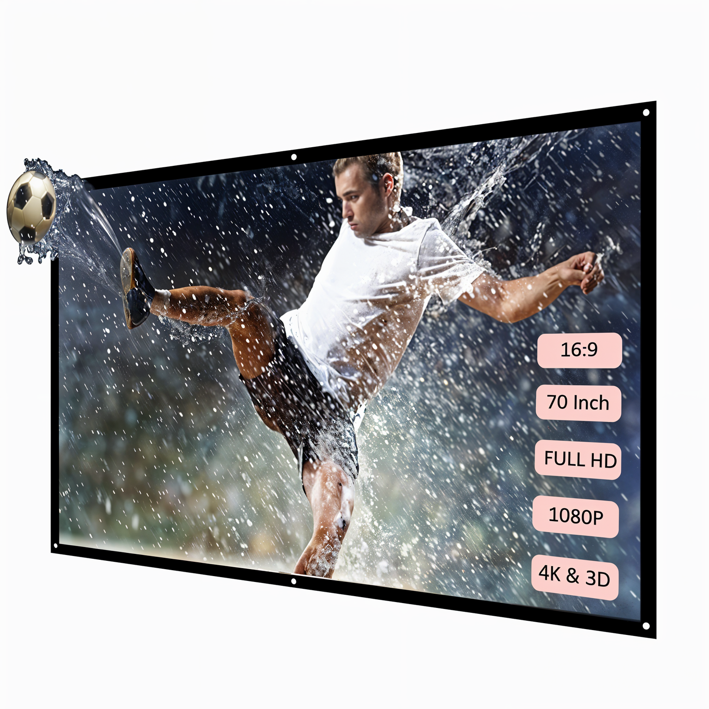 RensynPro™ - Projector Screen
